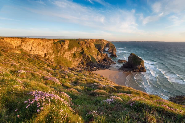 North Cornwall Coastline — Stockfoto