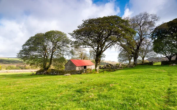 Dartmoor Nationaalpark — Stockfoto