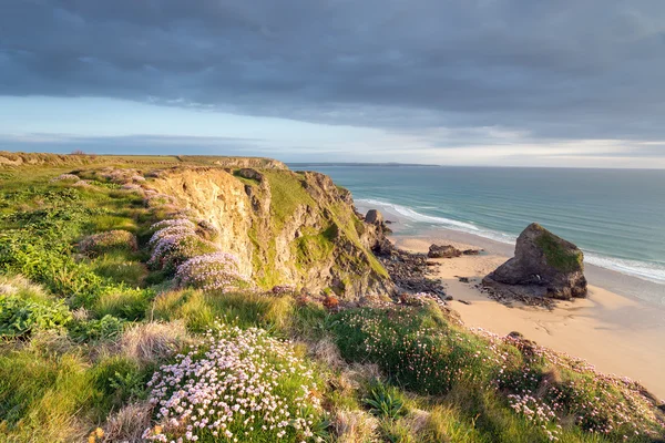 Cornish Cliffs — Stockfoto