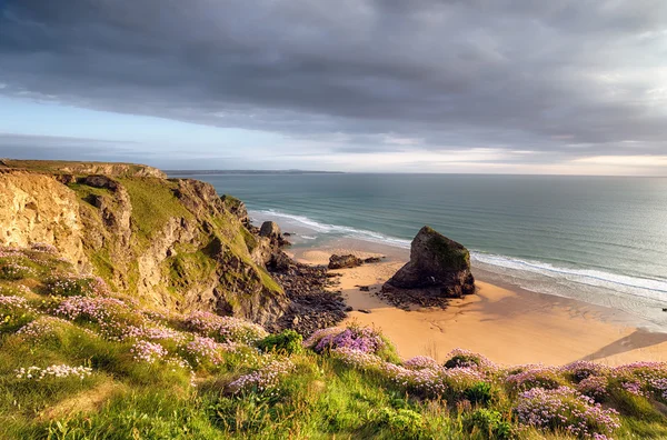 Clifftops at Bedruthan — Stock Photo, Image