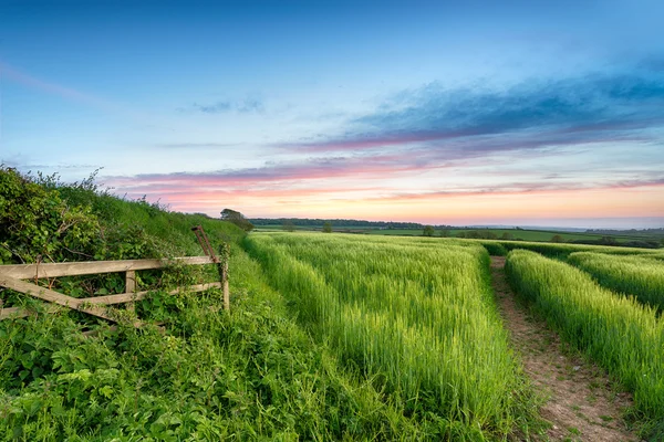 Englische Landschaft — Stockfoto