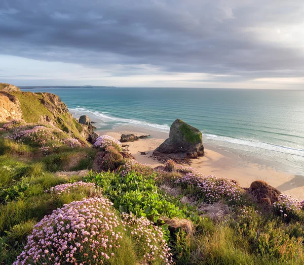 Zomertijd in Cornwall — Stockfoto