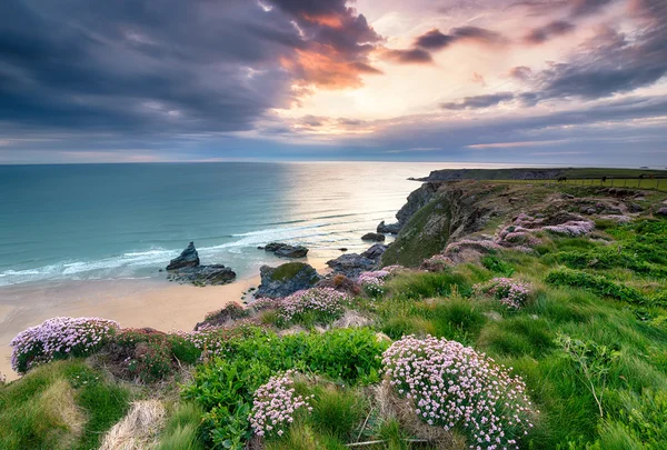 Setting Sun on the Cornwall Coast — Stock Photo, Image