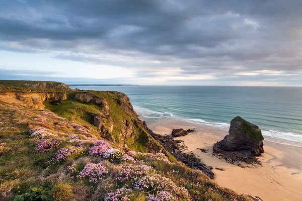 Bedruthan sparsamhet — Stockfoto