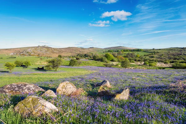 Holwell Lawn en Dartmoor —  Fotos de Stock