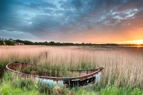 Boot im Schilf — Stockfoto