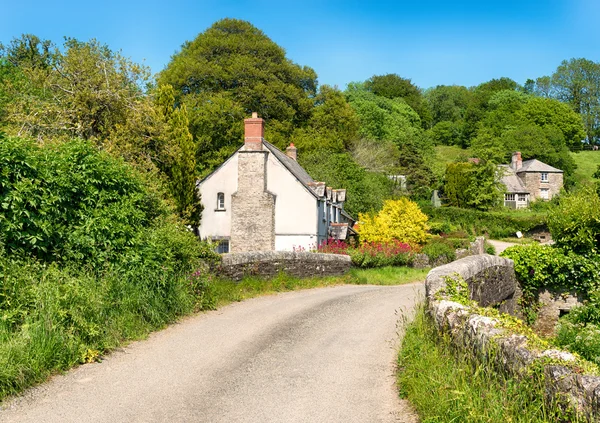 Country Lane i Cornwall — Stockfoto