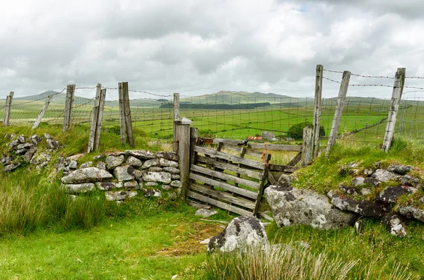 Bodmin Moor — Stock fotografie