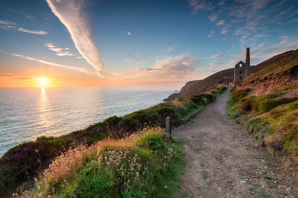 Summer on the Cornwall Coast — Stock Photo, Image