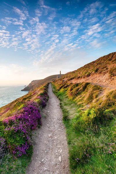 Sommar på Cornish kust — Stockfoto