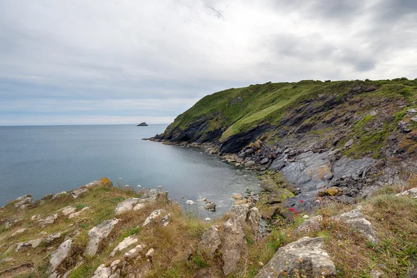 Cliffs above Portloe in Cornwall — Stock Photo, Image