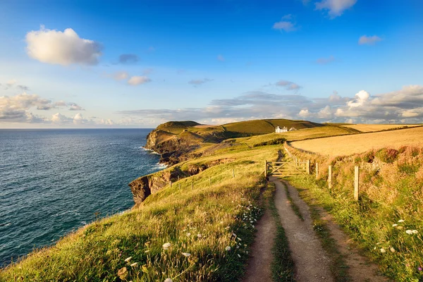 Doyden Point on the South West Coast Path — Stock Photo, Image