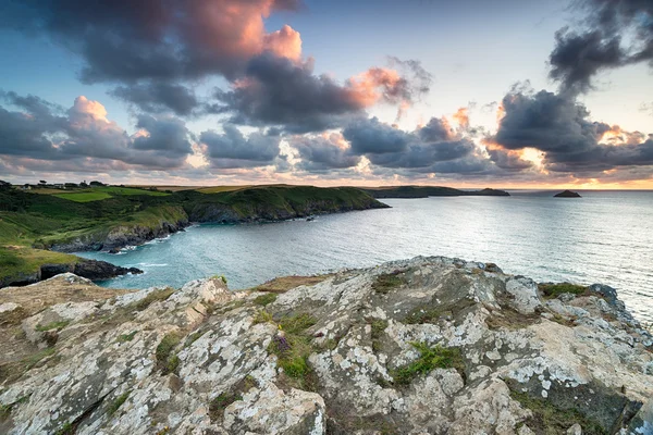 Cornish Coast — Stock Photo, Image