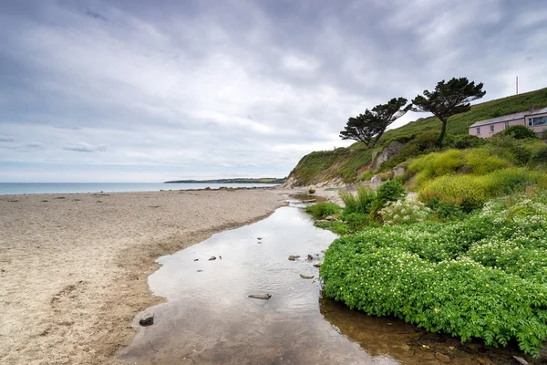 Pendower Beach in Cornwall — Stock Photo, Image