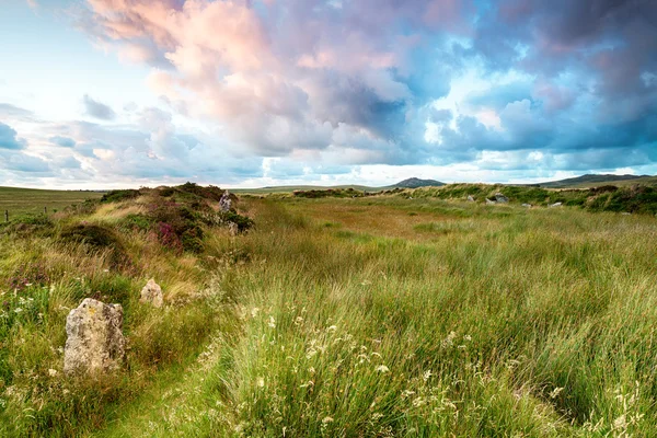 Puesta de sol sobre el páramo Bodmin —  Fotos de Stock