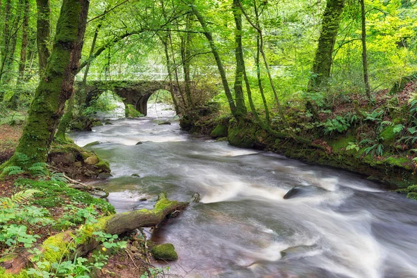 Warleggan in Cornwall — Stock Photo, Image