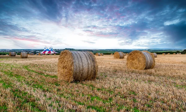 Newquay, hasat zamanı — Stok fotoğraf