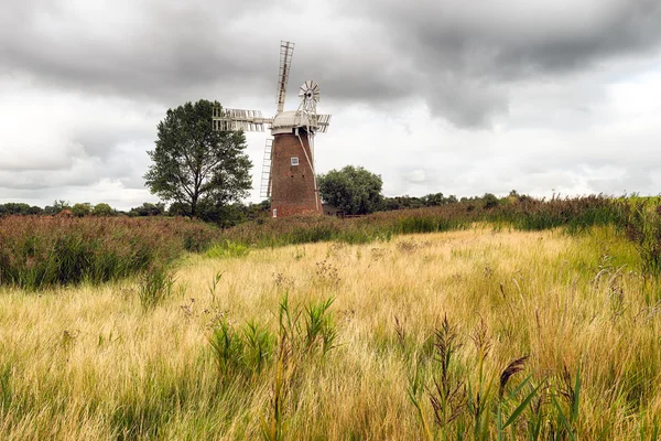 Hardley wiatrak w Norfolk — Zdjęcie stockowe