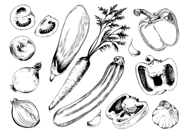 Colection de légumes dessinée à la main. — Image vectorielle