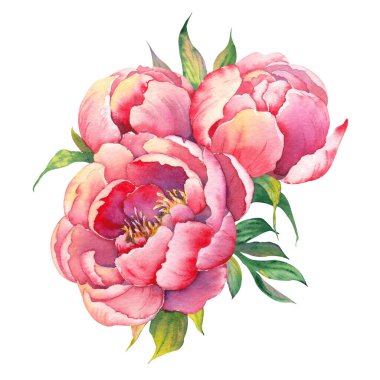 Tebrik kartları, davetiyeler ve düğün tasarımı için suluboya şakayık kompozisyonu.