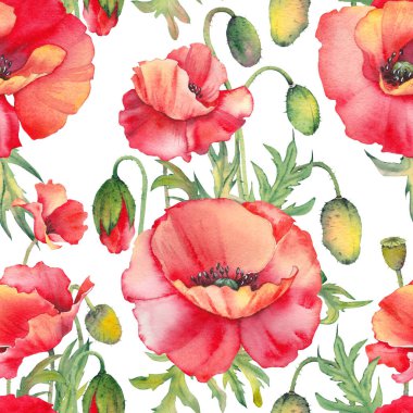 Kırmızı gelincik çiçekleriyle kusursuz desen. Suluboya çiçek çizimi.