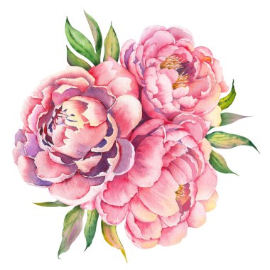 Tebrik kartları, davetiyeler ve düğün tasarımı için güzel pembe şakayıklar..