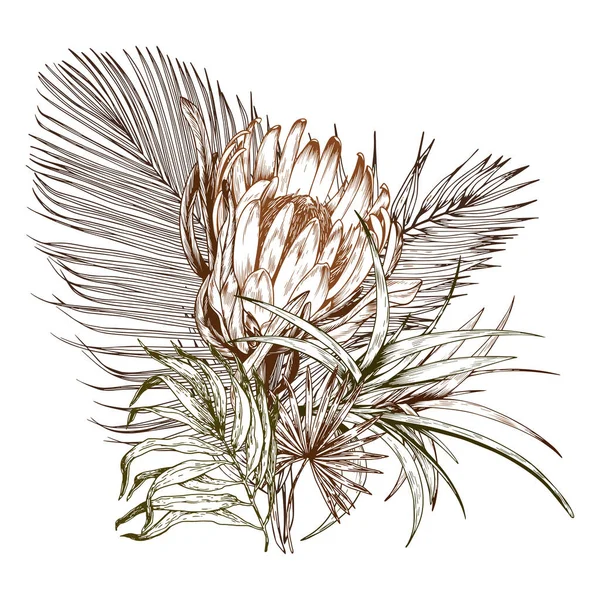 Ramo tropical seco, flor de protea y hojas de palma. — Vector de stock