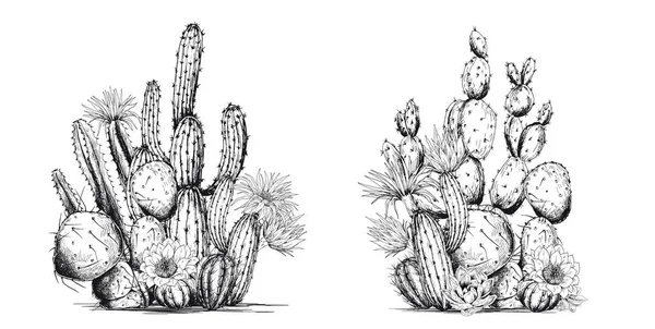 Composición de cactus blancos y negros. — Vector de stock