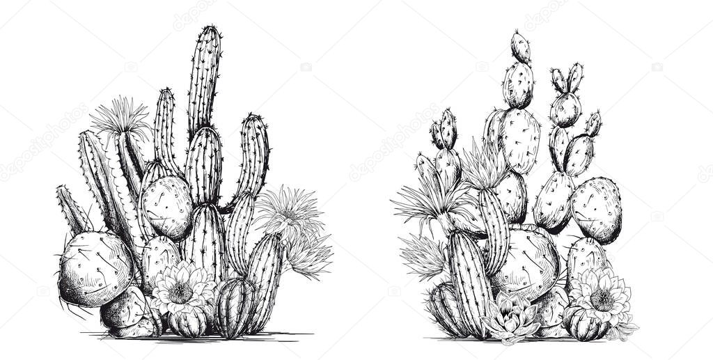 Black and white cacti composition.