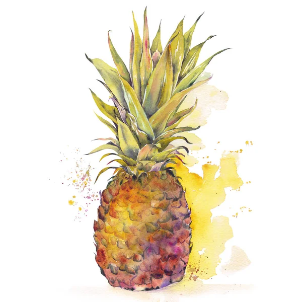 Ananas con spruzzi di acquerello. — Foto Stock