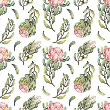 Beyaz arkaplanda Protea çiçekleri olan pürüzsüz desen.