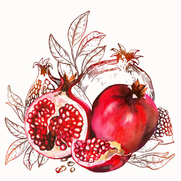 Красный акварель и графические гранаты на белом фоне.
