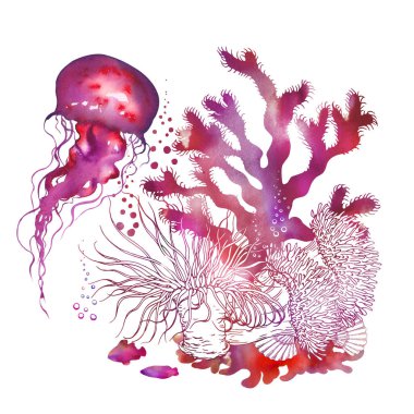 Renkli mercan manzarası ve kırmızı suluboya denizanası.