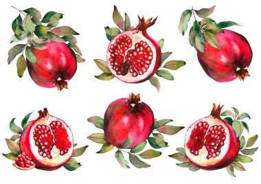Set of red pomegranate fruits with green leaves. clipart