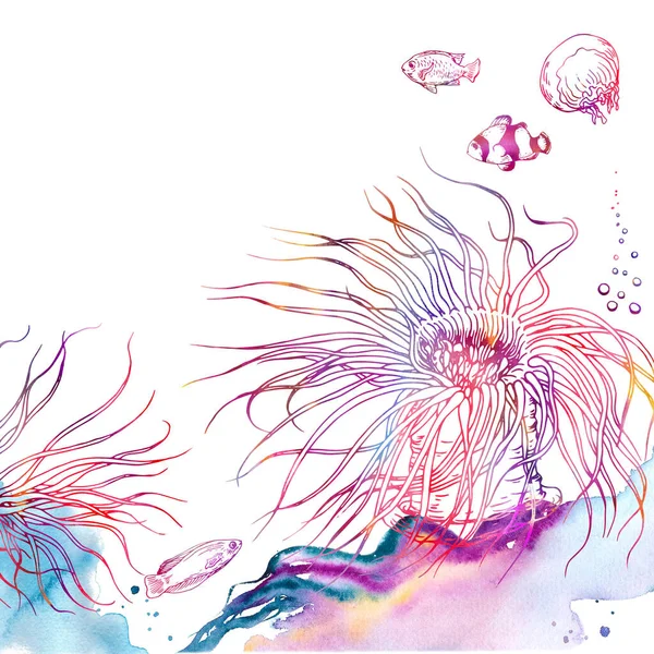 Colorido mar anémona arrecife paisaje clip arte. —  Fotos de Stock
