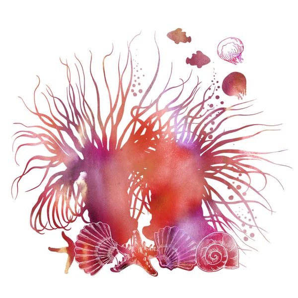 Anémonas de mar coloridas, conchas, peces y medusas. —  Fotos de Stock
