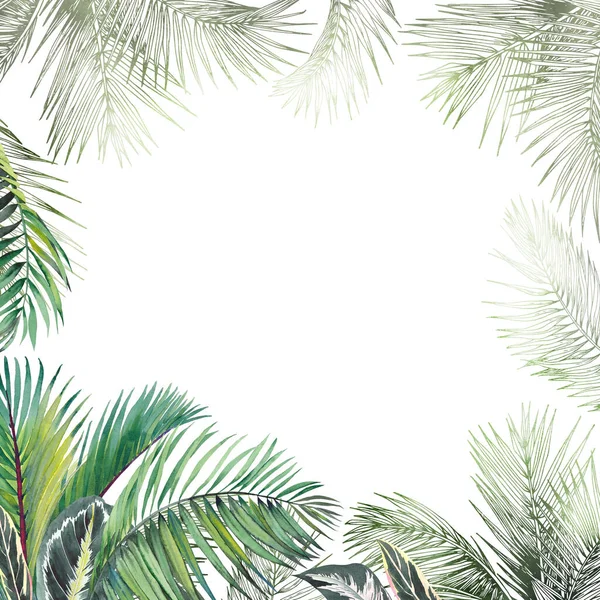 Tropical palm leaves frame. Watercolor and graphic illustration. — Stock Photo, Image