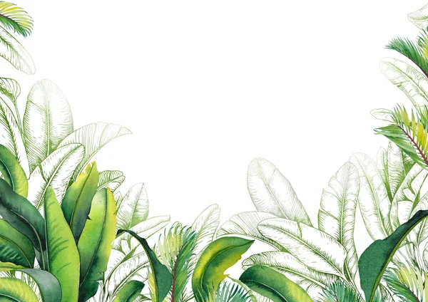 Tropical banana palm leaves frame. Watercolor and graphic illustration. — Stock Photo, Image