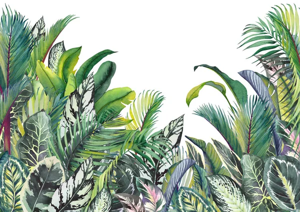 Тропические листья стены джунглей искусства. Акварель. — стоковое фото