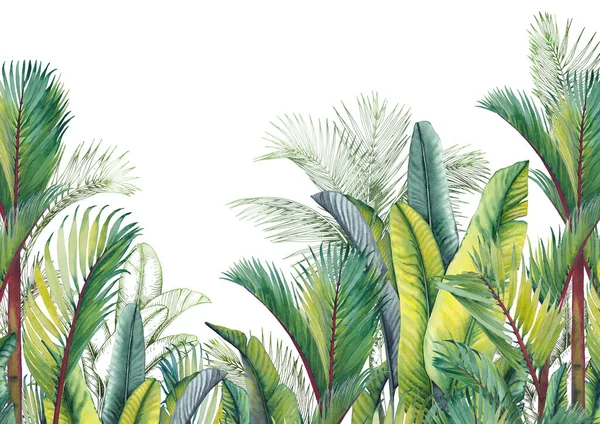 Zielone tropikalne liście palmy krajobraz. Akwarela i ilustracja graficzna. — Zdjęcie stockowe
