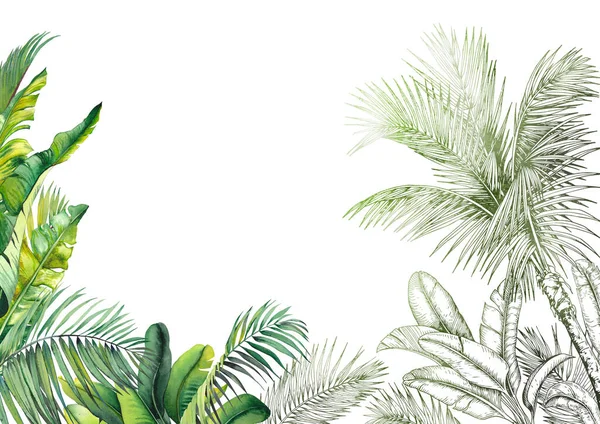 Green tropical leaves scenery frame. Watercolor and graphic illustration. — Stock Photo, Image