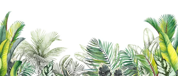 Seamless tropical border with green palm leaves and trees. — Stock Photo, Image