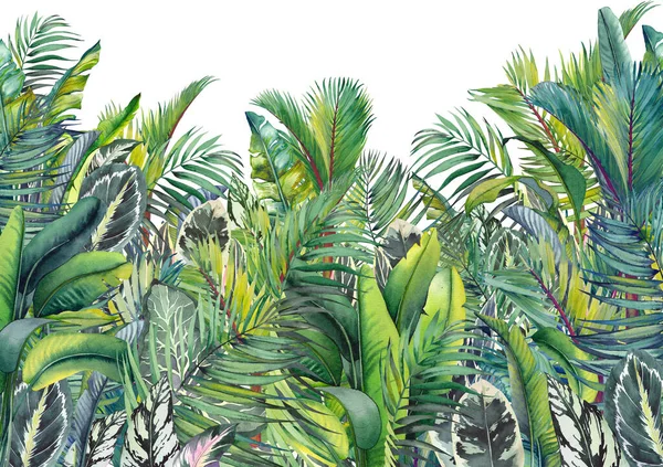 Akwarela ściana sztuki granicy z zielonymi liści tropikalnych. — Zdjęcie stockowe