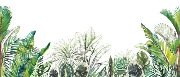 Płynna granica tropikalna z zielonymi liśćmi palmy akwarelowej. — Zdjęcie stockowe