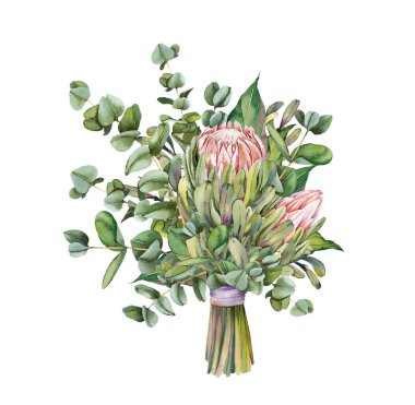 Güzel okaliptüs yaprakları buketi ve beyaz arka planda egzotik proteinler..