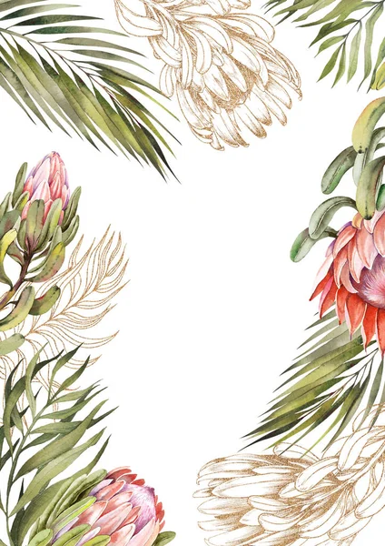 Floral protea frame on white background. Gold line and watercolor illustration. — стоковое фото