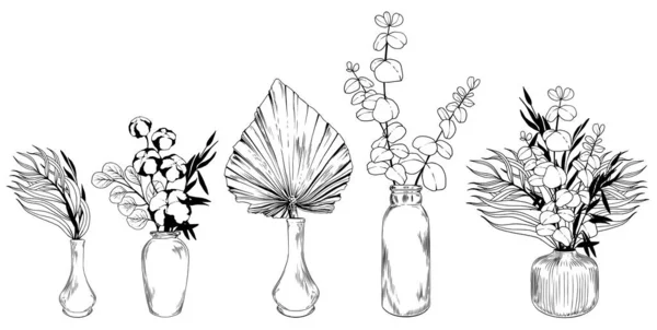 Set vazen met eucalyptus, katoen en palmbladeren. — Stockvector
