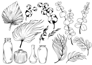 Kurumuş palmiye yaprakları, okaliptüs, pamuk bitkileri, boho vazoları ve şişeler..