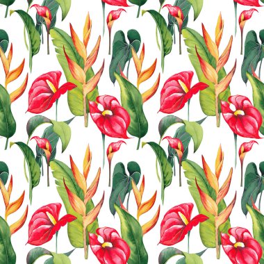 Kırmızı Anthurium ve heliconia çiçekleriyle kusursuz desen.