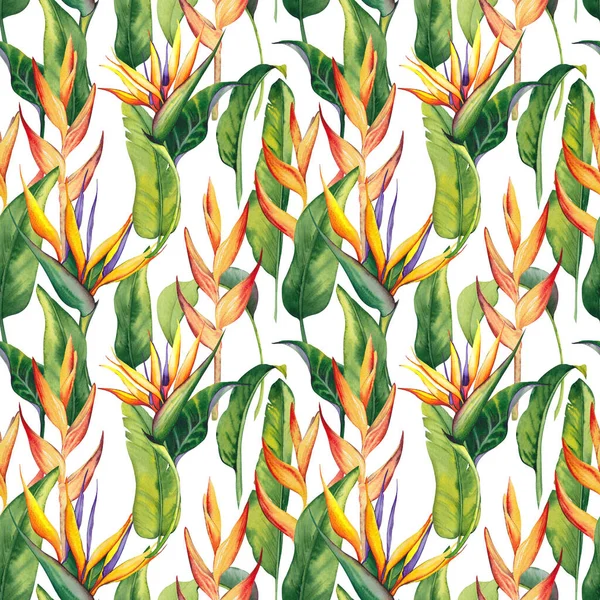 Naadloos patroon met tropische heliconia bloemen en bladeren. — Stockfoto